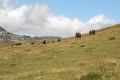 (151) Rando au Lac d'Aestens